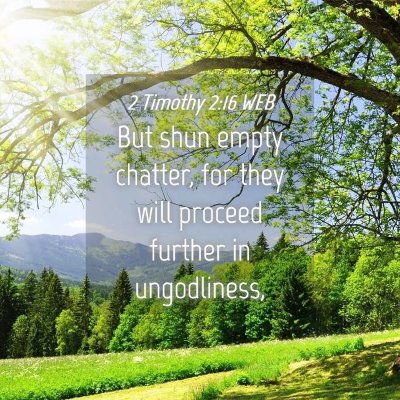 Picture 04 - 2 Timothy 2:16 WEB - But shun empty chatter, for they will proceed - Bible Verse Picture