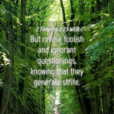Picture 04 - 2 Timothy 2:23 WEB - But refuse foolish and ignorant questionings, - Bible Verse Picture