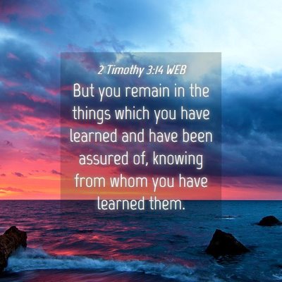 Picture 04 - 2 Timothy 3:14 WEB - But you remain in the things which you have - Bible Verse Picture