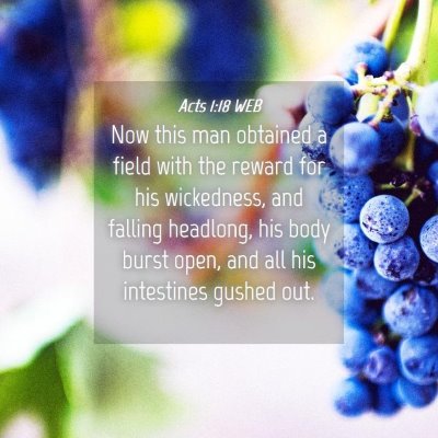 Picture 04 - Acts 1:18 WEB - Now this man obtained a field with the reward for - Bible Verse Picture