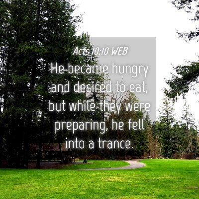 Picture 04 - Acts 10:10 WEB - He became hungry and desired to eat, but while - Bible Verse Picture