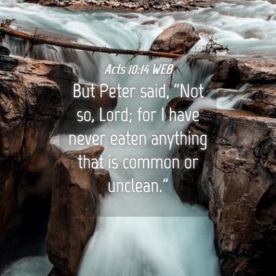 Picture 04 - Acts 10:14 WEB - But Peter said, 