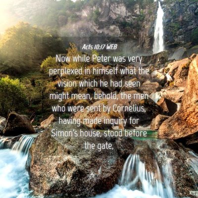 Picture 04 - Acts 10:17 WEB - Now while Peter was very perplexed in himself - Bible Verse Picture