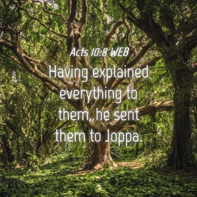 Picture 04 - Acts 10:8 WEB - Having explained everything to them, he sent them - Bible Verse Picture
