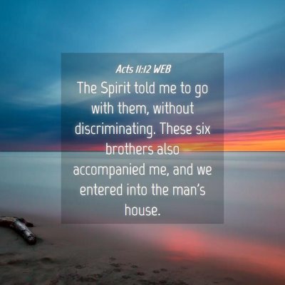 Picture 04 - Acts 11:12 WEB - The Spirit told me to go with them, without - Bible Verse Picture
