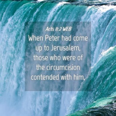 Picture 04 - Acts 11:2 WEB - When Peter had come up to Jerusalem, those who - Bible Verse Picture