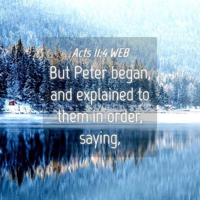 Picture 04 - Acts 11:4 WEB - But Peter began, and explained to them in order, - Bible Verse Picture