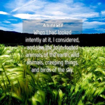 Picture 04 - Acts 11:6 WEB - When I had looked intently at it, I considered, - Bible Verse Picture