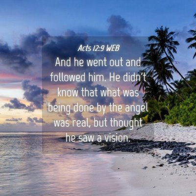 Picture 04 - Acts 12:9 WEB - And he went out and followed him. He didn't know - Bible Verse Picture