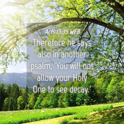 Picture 04 - Acts 13:35 WEB - Therefore he says also in another psalm, 'You - Bible Verse Picture