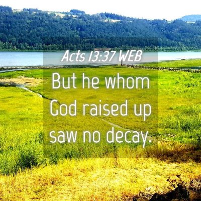 Picture 04 - Acts 13:37 WEB - But he whom God raised up saw no - Bible Verse Picture