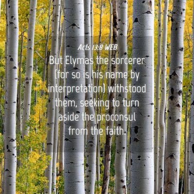 Picture 04 - Acts 13:8 WEB - But Elymas the sorcerer (for so is his name by - Bible Verse Picture
