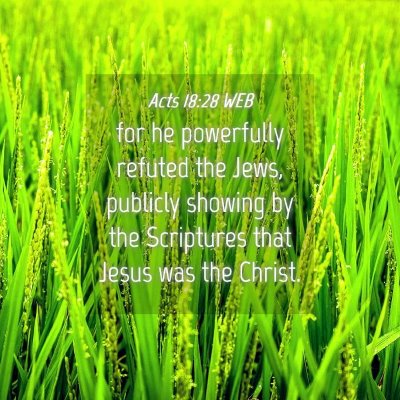 Picture 04 - Acts 18:28 WEB - for he powerfully refuted the Jews, publicly - Bible Verse Picture