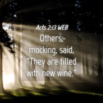 Picture 04 - Acts 2:13 WEB - Others, mocking, said, 