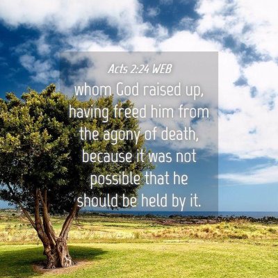 Picture 04 - Acts 2:24 WEB - whom God raised up, having freed him from the - Bible Verse Picture
