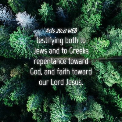 Picture 04 - Acts 20:21 WEB - testifying both to Jews and to Greeks repentance - Bible Verse Picture