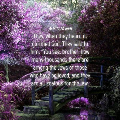 Picture 04 - Acts 21:20 WEB - They, when they heard it, glorified God. They - Bible Verse Picture