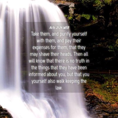 Picture 04 - Acts 21:24 WEB - Take them, and purify yourself with them, and pay - Bible Verse Picture