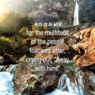 Picture 04 - Acts 21:36 WEB - for the multitude of the people followed after, - Bible Verse Picture