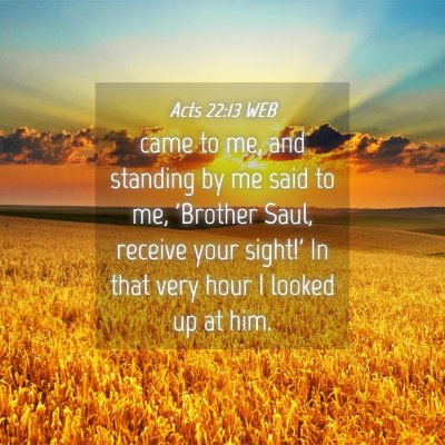 Picture 04 - Acts 22:13 WEB - came to me, and standing by me said to me, - Bible Verse Picture