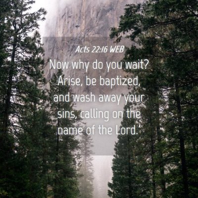 Picture 04 - Acts 22:16 WEB - Now why do you wait? Arise, be baptized, and wash - Bible Verse Picture