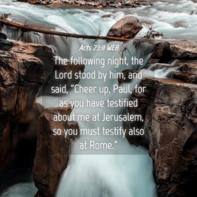 Picture 04 - Acts 23:11 WEB - The following night, the Lord stood by him, and - Bible Verse Picture