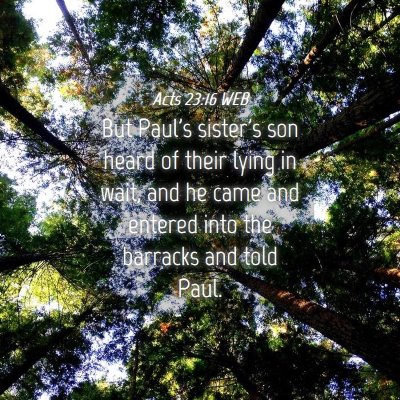 Picture 04 - Acts 23:16 WEB - But Paul's sister's son heard of their lying in - Bible Verse Picture