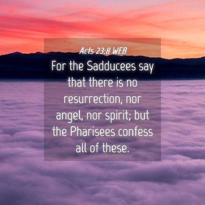 Picture 04 - Acts 23:8 WEB - For the Sadducees say that there is no - Bible Verse Picture