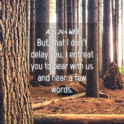 Picture 04 - Acts 24:4 WEB - But, that I don't delay you, I entreat you to - Bible Verse Picture