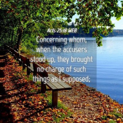 Picture 04 - Acts 25:18 WEB - Concerning whom, when the accusers stood up, they - Bible Verse Picture