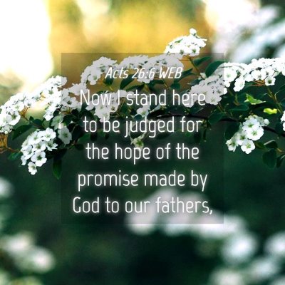Picture 04 - Acts 26:6 WEB - Now I stand here to be judged for the hope of the - Bible Verse Picture