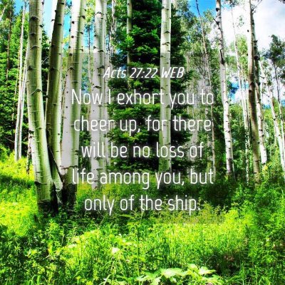 Picture 04 - Acts 27:22 WEB - Now I exhort you to cheer up, for there will be - Bible Verse Picture