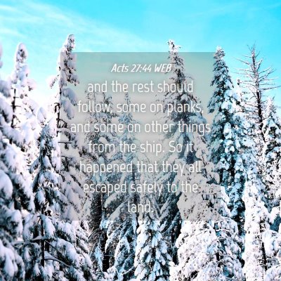 Picture 04 - Acts 27:44 WEB - and the rest should follow, some on planks, and - Bible Verse Picture