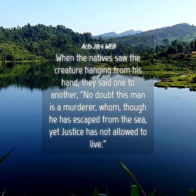 Picture 04 - Acts 28:4 WEB - When the natives saw the creature hanging from - Bible Verse Picture
