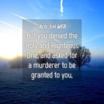 Picture 04 - Acts 3:14 WEB - But you denied the Holy and Righteous One, and - Bible Verse Picture