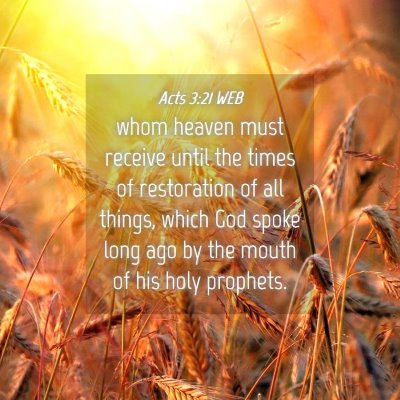 Picture 04 - Acts 3:21 WEB - whom heaven must receive until the times of - Bible Verse Picture