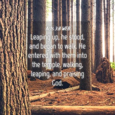Picture 04 - Acts 3:8 WEB - Leaping up, he stood, and began to walk. He - Bible Verse Picture