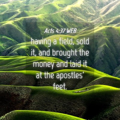 Picture 04 - Acts 4:37 WEB - having a field, sold it, and brought the money - Bible Verse Picture