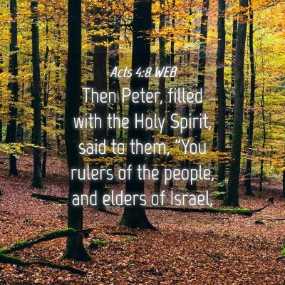 Picture 04 - Acts 4:8 WEB - Then Peter, filled with the Holy Spirit, said to - Bible Verse Picture