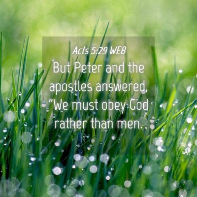 Picture 04 - Acts 5:29 WEB - But Peter and the apostles answered,