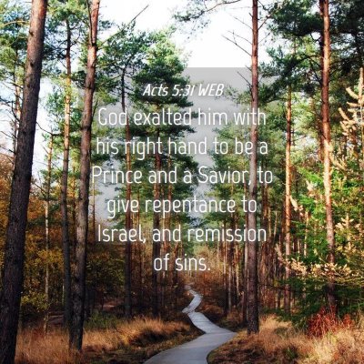 Picture 04 - Acts 5:31 WEB - God exalted him with his right hand to be a - Bible Verse Picture