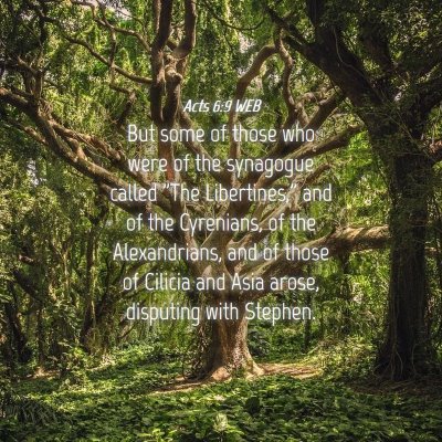 Picture 04 - Acts 6:9 WEB - But some of those who were of the synagogue - Bible Verse Picture