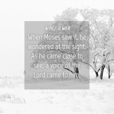 Picture 04 - Acts 7:31 WEB - When Moses saw it, he wondered at the sight. As - Bible Verse Picture