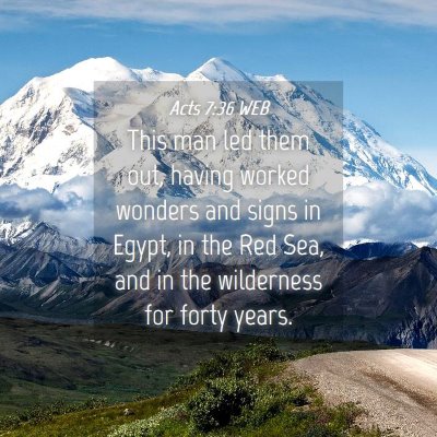 Picture 04 - Acts 7:36 WEB - This man led them out, having worked wonders and - Bible Verse Picture