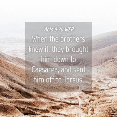 Picture 04 - Acts 9:30 WEB - When the brothers knew it, they brought him down - Bible Verse Picture