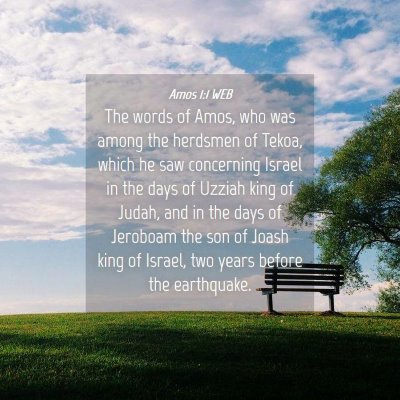 Picture 04 - Amos 1:1 WEB - The words of Amos, who was among the herdsmen of - Bible Verse Picture