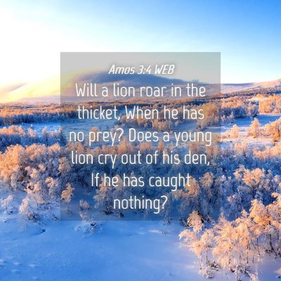 Picture 04 - Amos 3:4 WEB - Will a lion roar in the thicket, When he has no - Bible Verse Picture