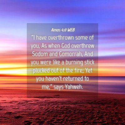 Picture 04 - Amos 4:11 WEB - 