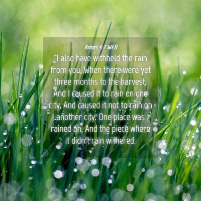 Picture 04 - Amos 4:7 WEB - 
