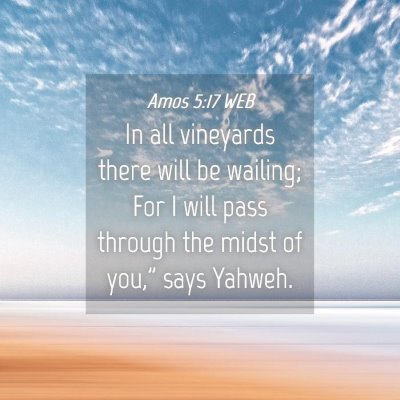 Picture 04 - Amos 5:17 WEB - In all vineyards there will be wailing; For I - Bible Verse Picture